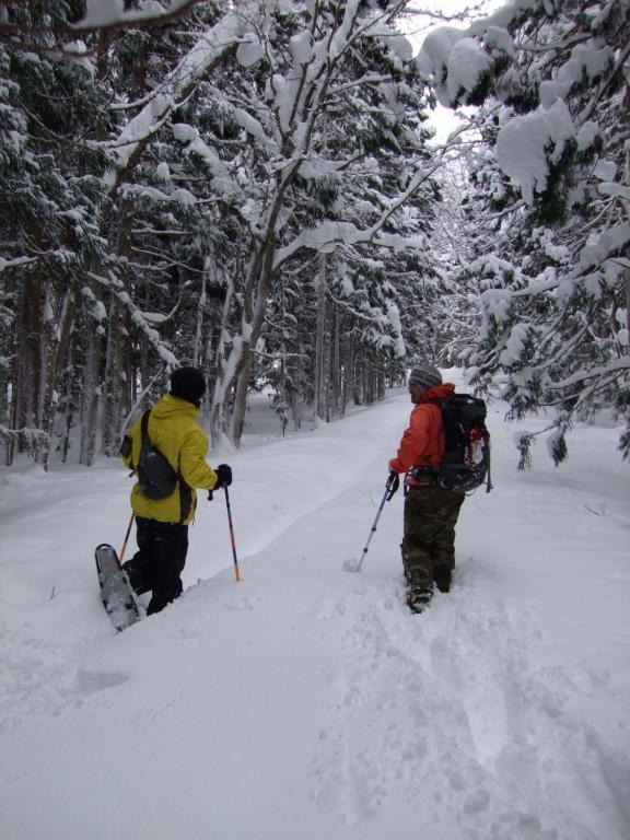 Il Bosco Villa Hakuba Kültér fotó