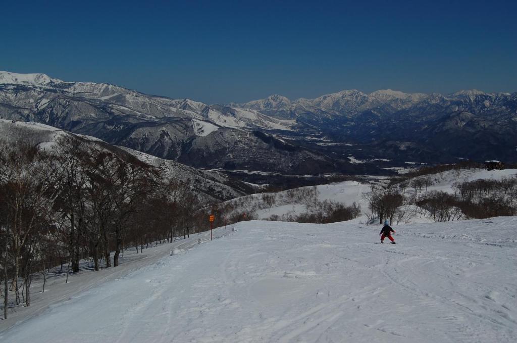 Il Bosco Villa Hakuba Kültér fotó
