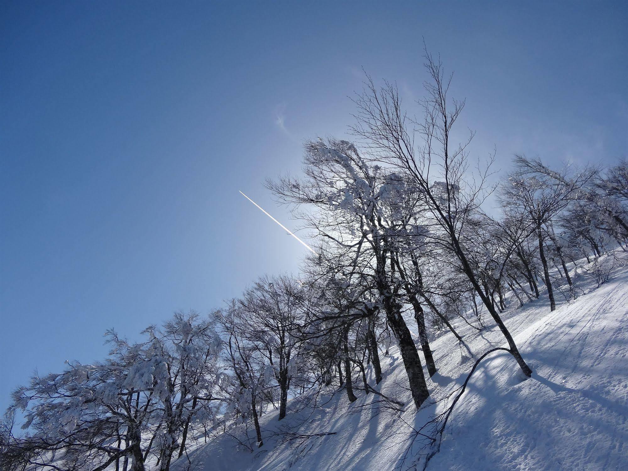 Il Bosco Villa Hakuba Kültér fotó